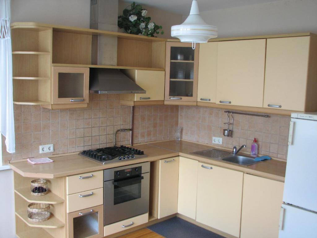 Kuchyň nebo kuchyňský kout v ubytování Little Amber Apartments