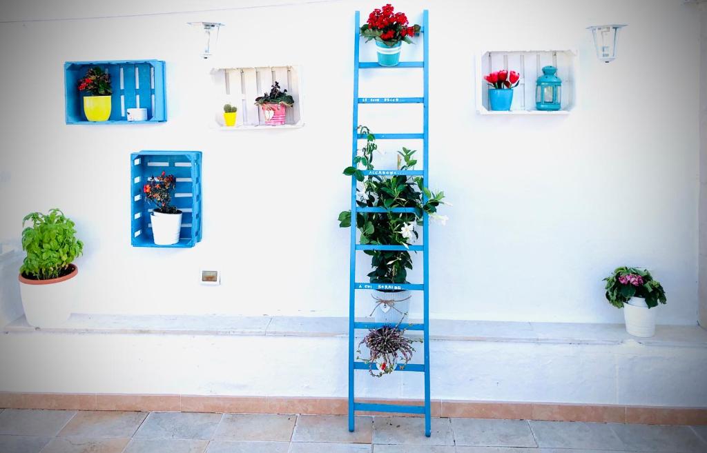 a blue ladder leaning against a white wall with potted plants at Relax House in Bari