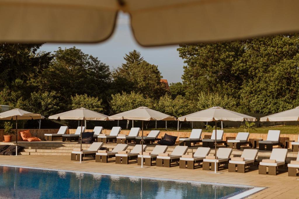 Hotel 1000 Ruza - Resim 22