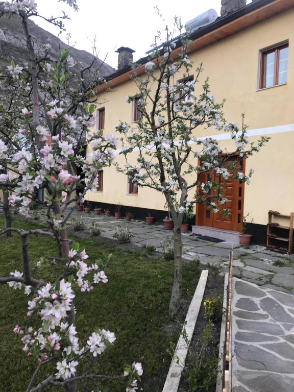 Zahrada ubytování Guest House Sabriu