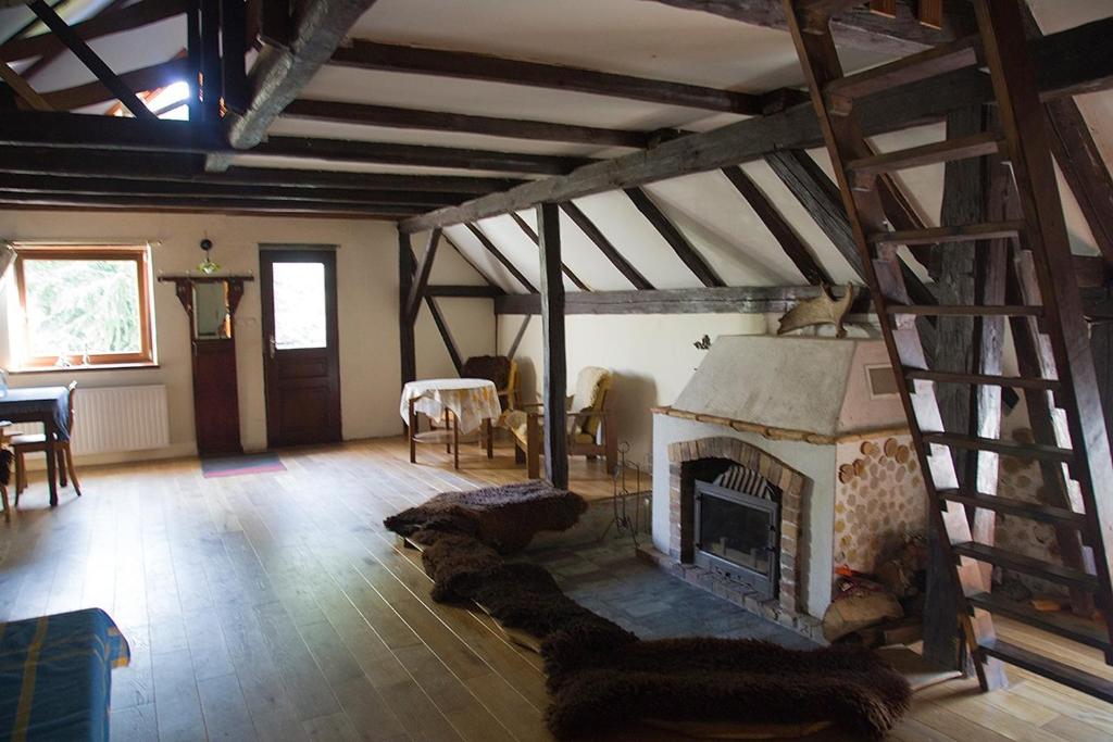 a living room with a fireplace and a wooden floor at Ekoturystyka Nowina in Nowina