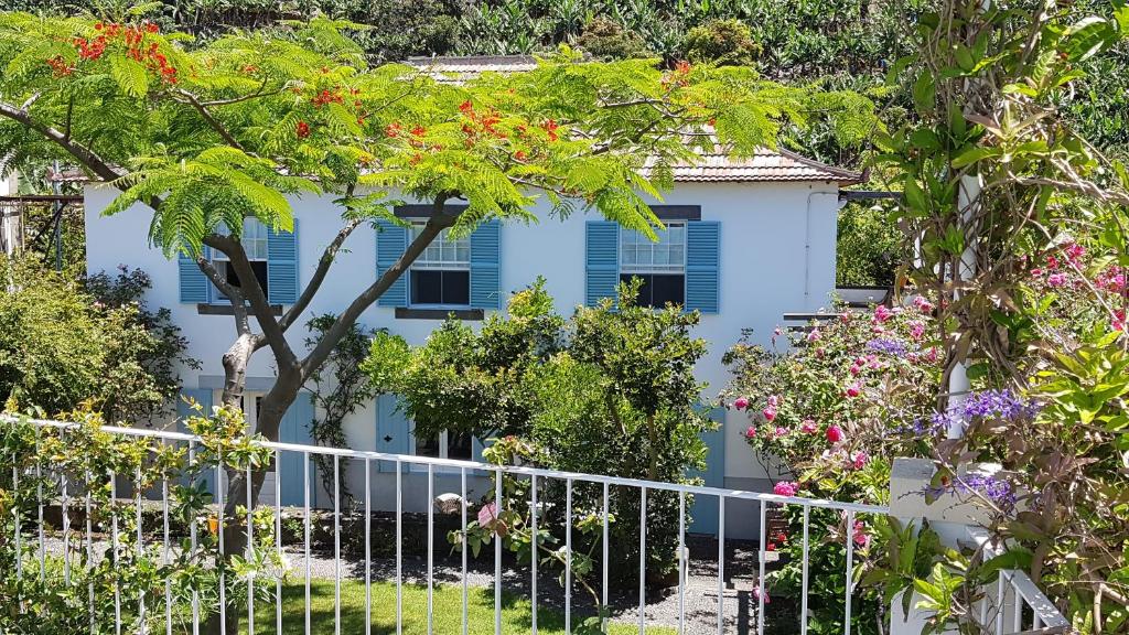 Casa blanca con ventanas con persianas azules y plantas en Casa da Madalena do Mar, en Madalena do Mar