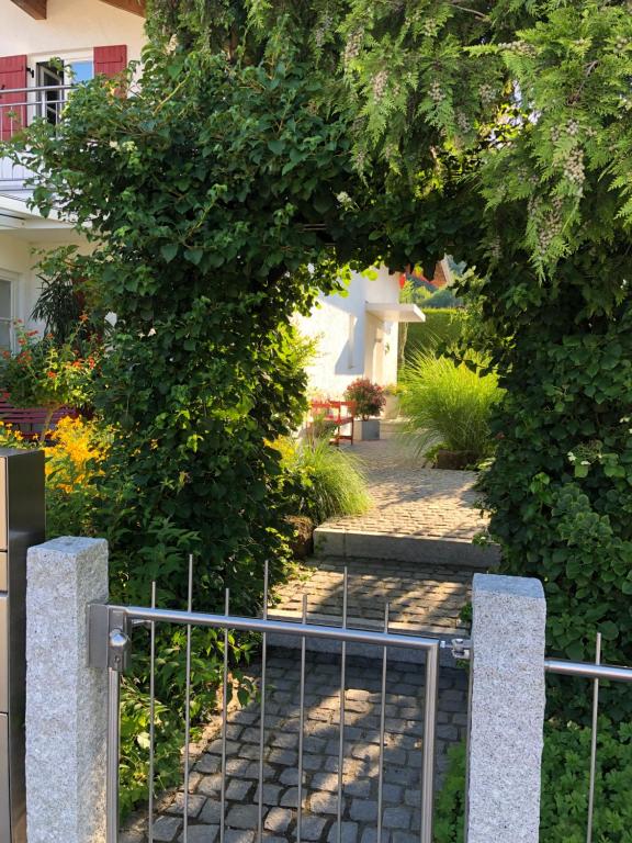 Wolfˋs Apartment - 6