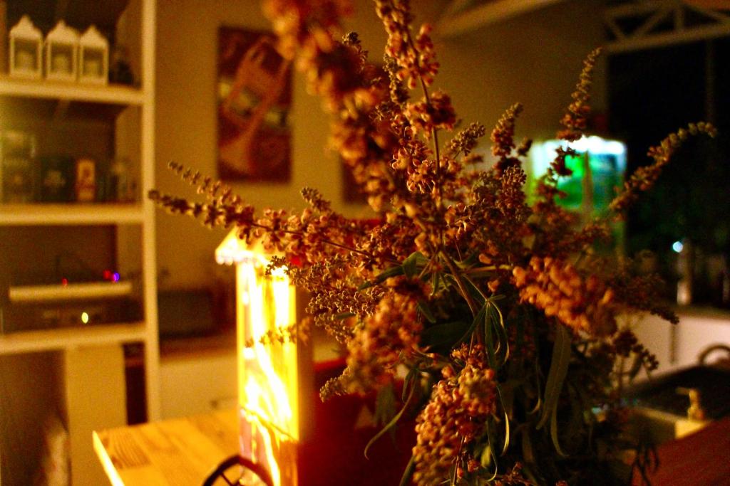 Fotografie z fotogalerie ubytování Arp Dalyan v destinaci Dalyan