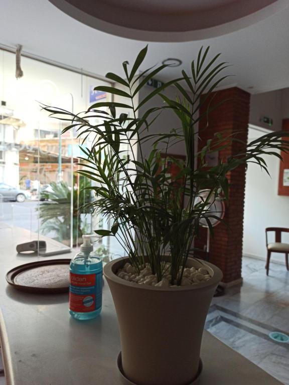 Piraeus Acropole Hotel - Resim 9