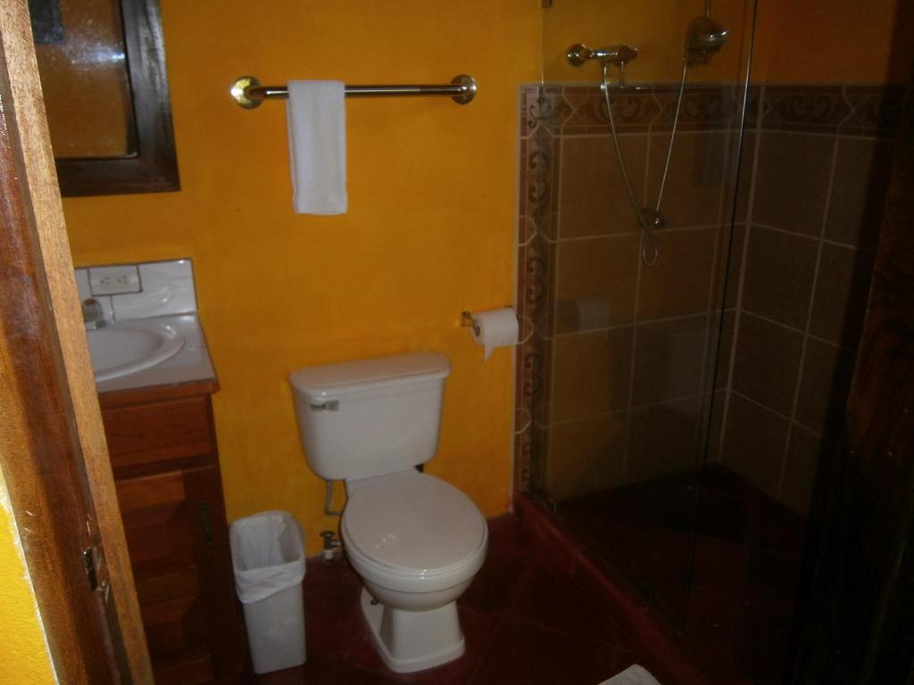 Hotel La Palapa Eco Lodge Resort - Tunezaal