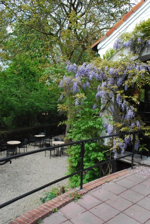Zahrada ubytování Hotel 'T Bagientje