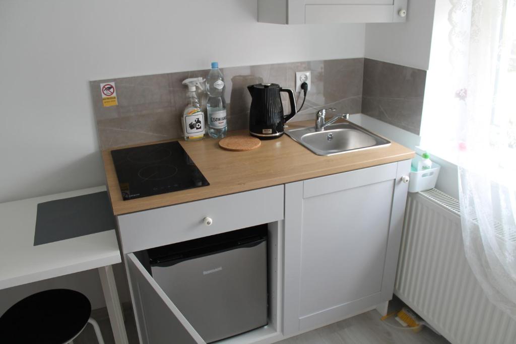 Kuchyňa alebo kuchynka v ubytovaní Apartamenty jednopokojowe Aksamitka
