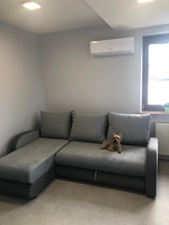 Klimatyzowane Apartamenty i Pokoje przy Targach Kielce - 13