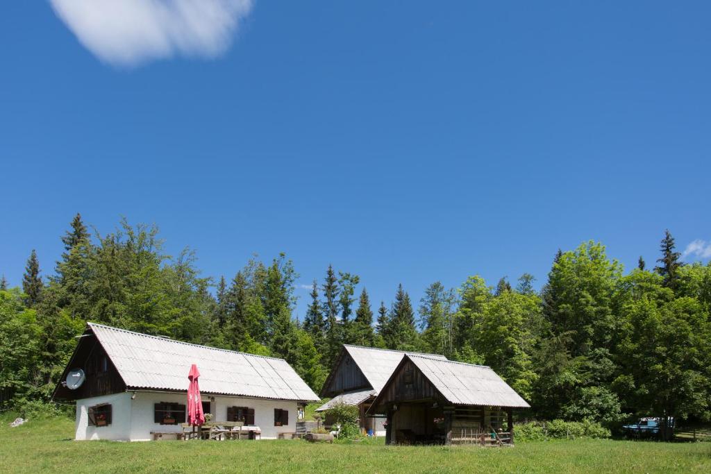 a barn and a house in a field at Mountain house MINKA in Srednja Vas v Bohinju