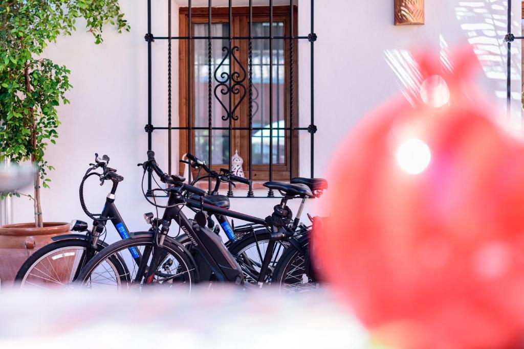 Alojamiento con Encanto la Luna en el Alba, Granada – Updated ...