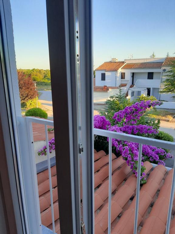 Une porte ouverte s'ouvre sur un balcon orné de fleurs violettes. dans l'établissement Apartment Enis, à Barbariga
