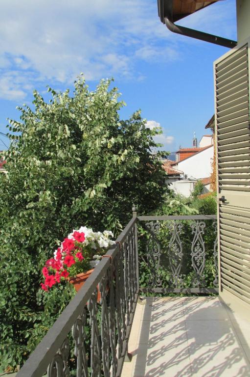 Balkón nebo terasa v ubytování Guest House Zadeja