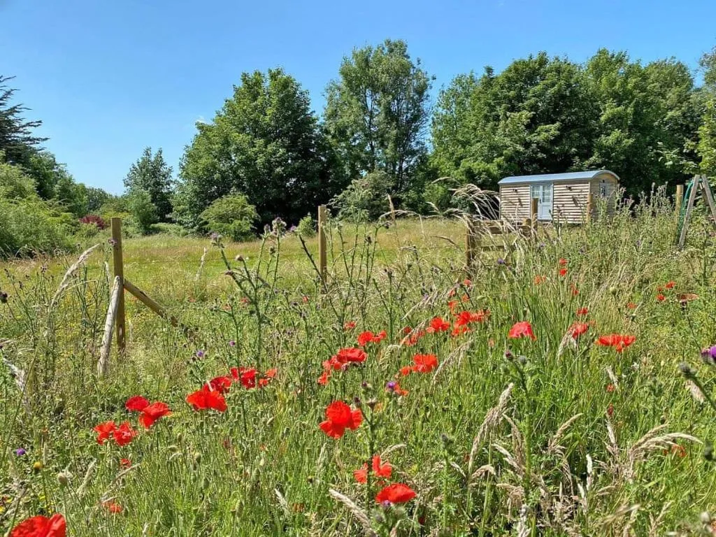 The Shepherd's Hut, Bath, Marea Britanie