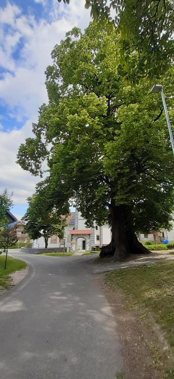 Okolí venkovského domu