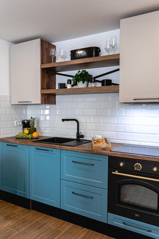 Kuchyň nebo kuchyňský kout v ubytování Botun Luxury Apartment