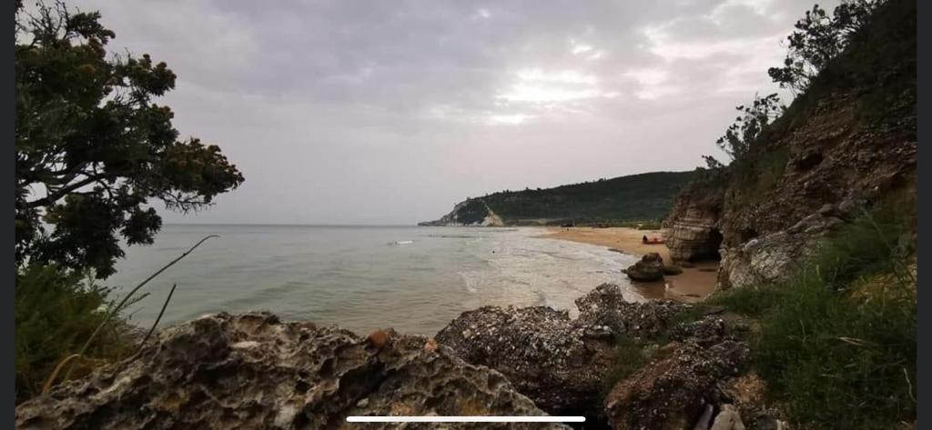 Przyroda w pobliżu tego apartamentu