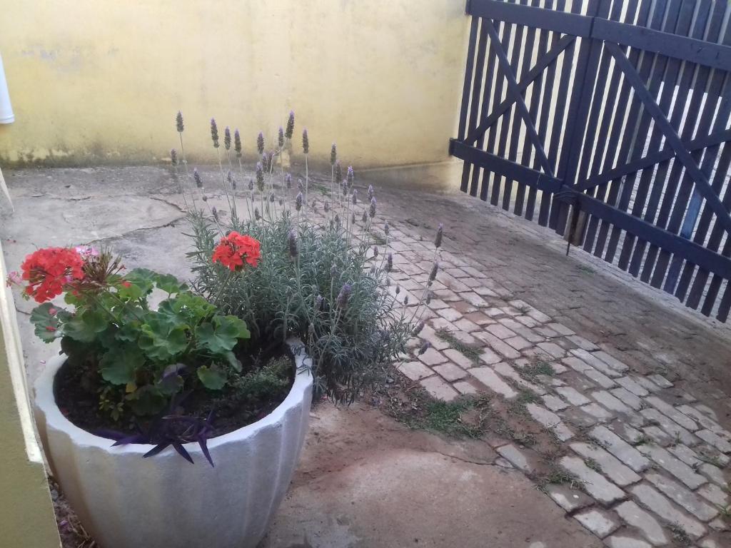  Chalés Encantos de Cunha Amarelo