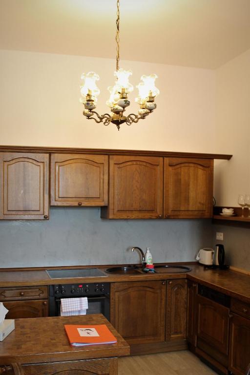 Kuchyň nebo kuchyňský kout v ubytování Apartmány PAPÍK