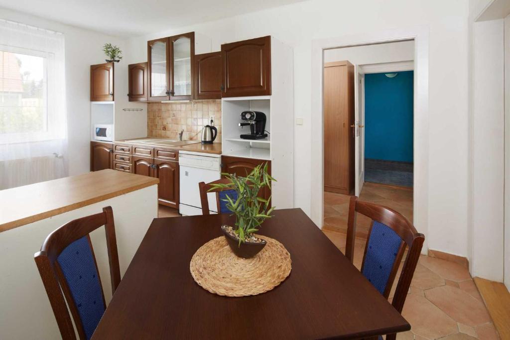 Kuchyň nebo kuchyňský kout v ubytování Apartmány Rossini