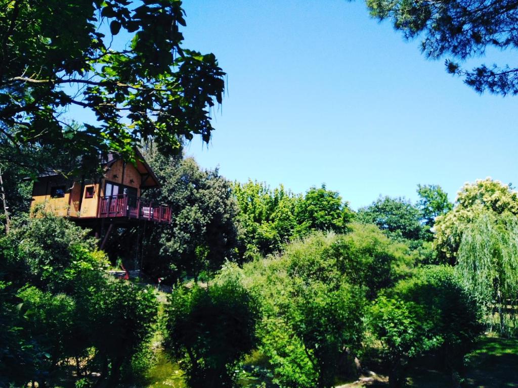  Casa sull'Albero Awen - Casa Vacanze , Castiglione del Lago,  Italia . Prenota ora il tuo hotel!