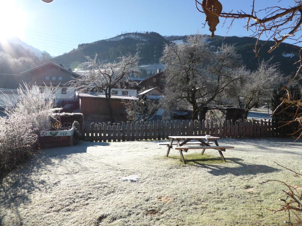 Příroda nedaleko apartmánu