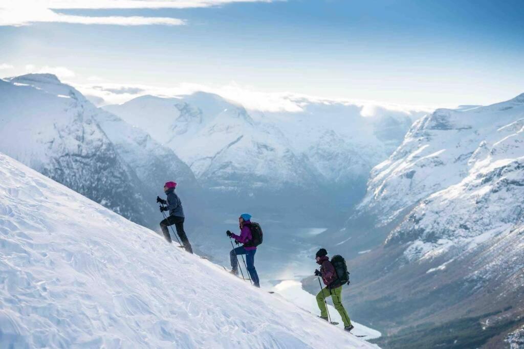 Hytte i Stryn med elbil lader зимой