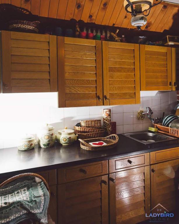 Een keuken of kitchenette bij Ladybird Lodge