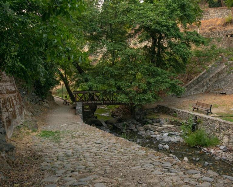 Příroda nedaleko aparthotelu