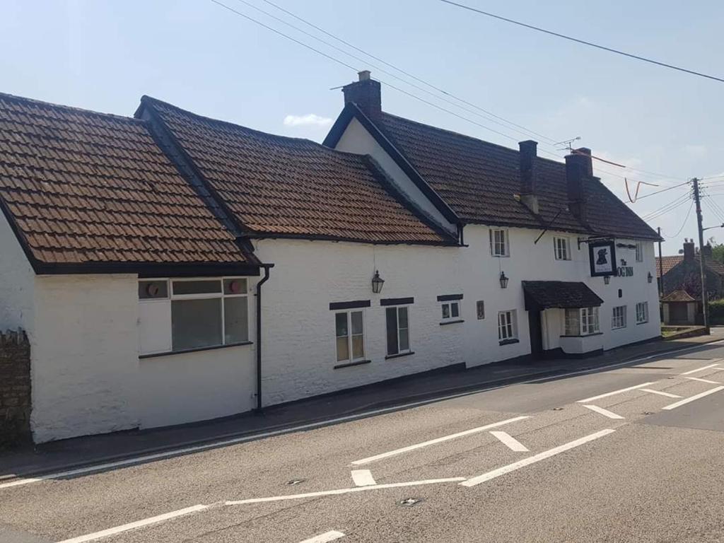 The Dog Inn - Housity