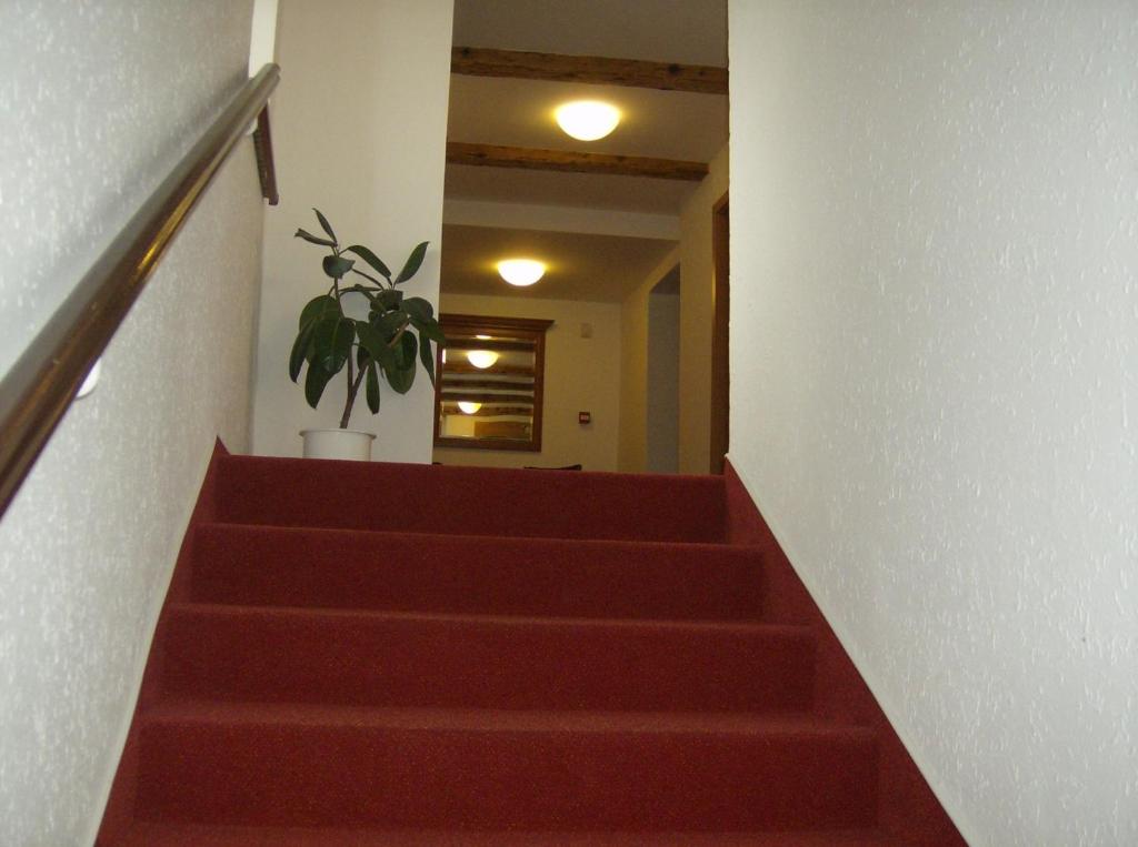 Fotografie z fotogalerie ubytování Hotel Maria v Ostravě