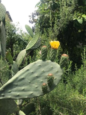 Hotel Lodi - Resim 38