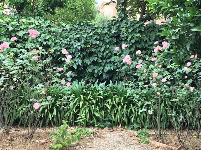 Hotel Lodi - Resim 12