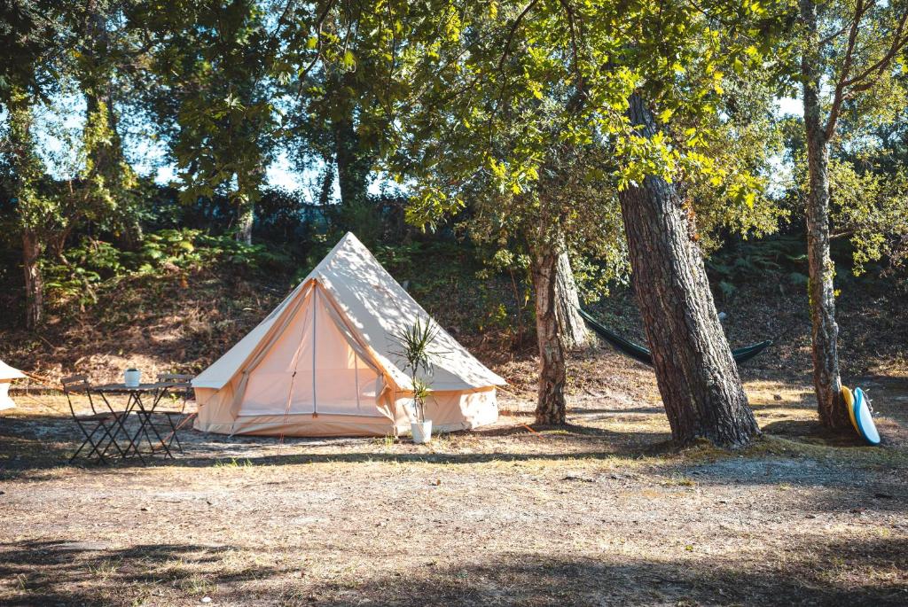 une tente dans un champ à côté d'un arbre dans l'établissement WolfCamp Surf Moliets, à Moliets-et-Maa