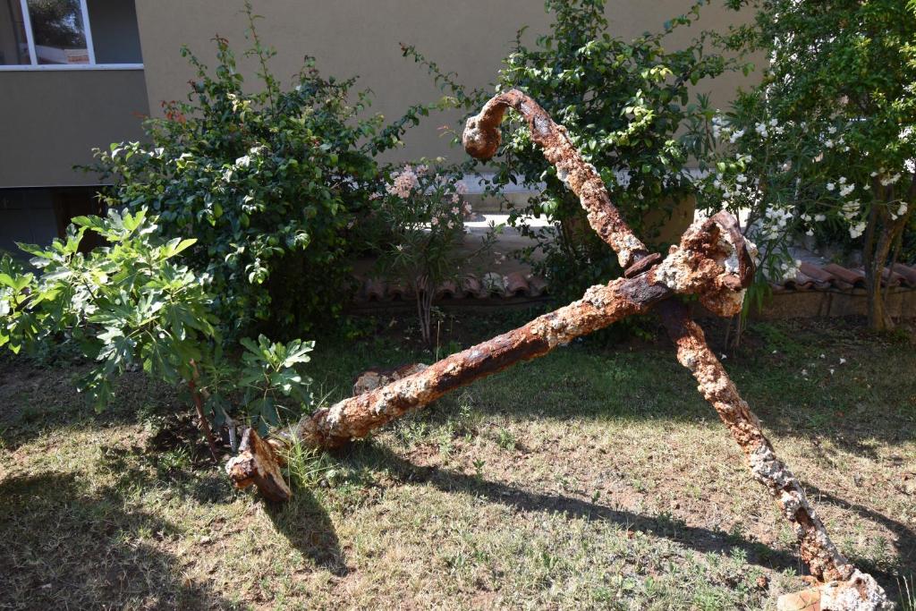 Zahrada ubytování Kandrovi Sozopol