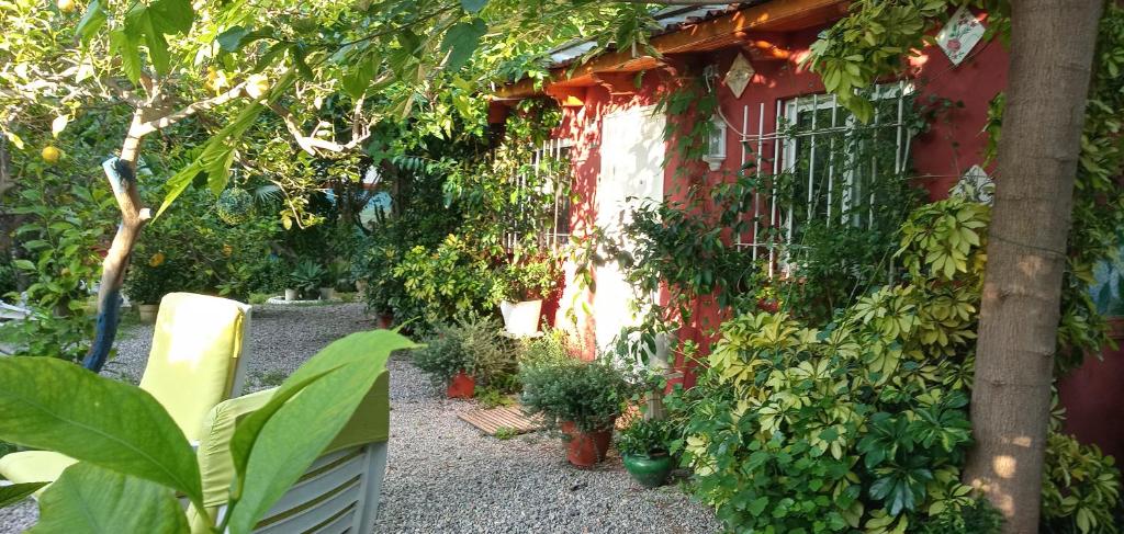 Vakantiehuis Casa con jardín frente Playa de Burriana