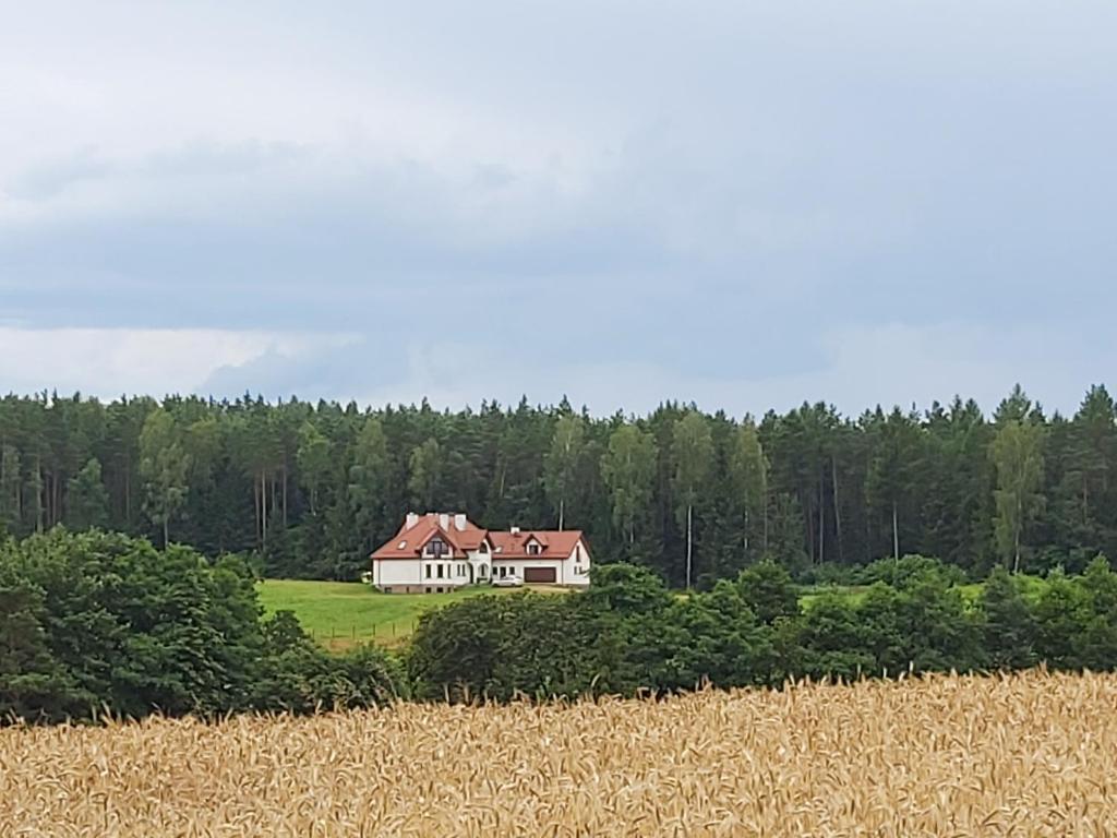 Príroda v okolí privátu