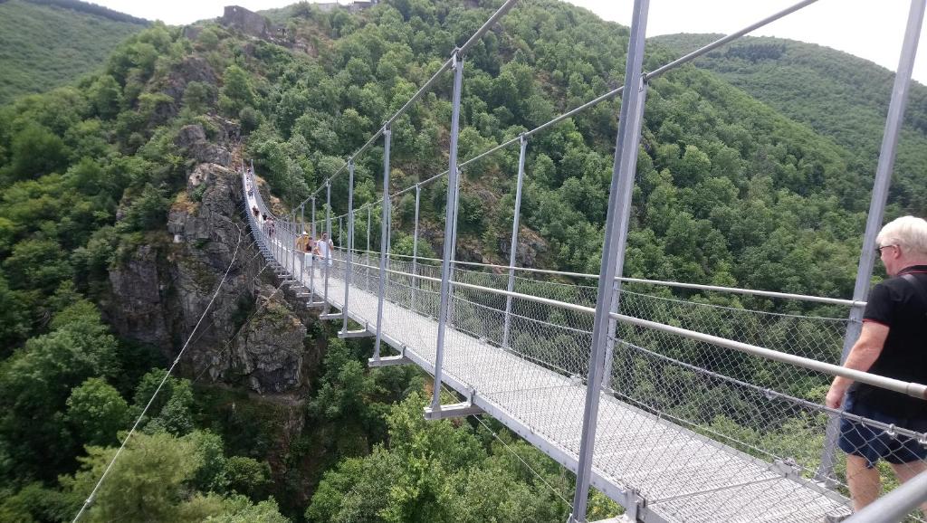 a man standing on a suspension bridge in the mountains at Fleurs de Cosmos in Albi