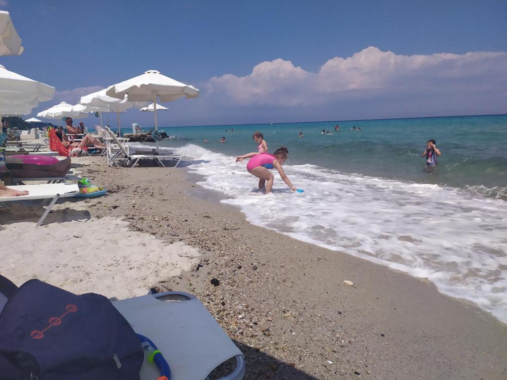 Táj az apartman közelében