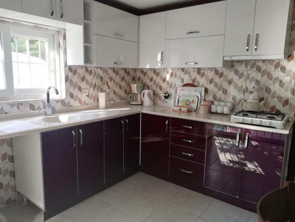 Kuchyň nebo kuchyňský kout v ubytování İde Beach Home