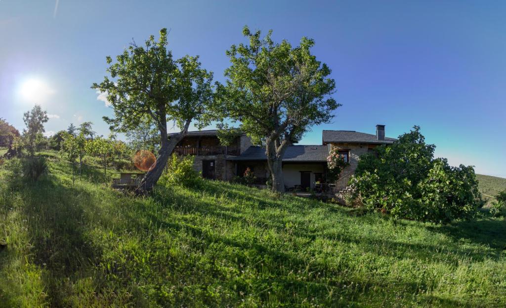Příroda nedaleko venkovského domu