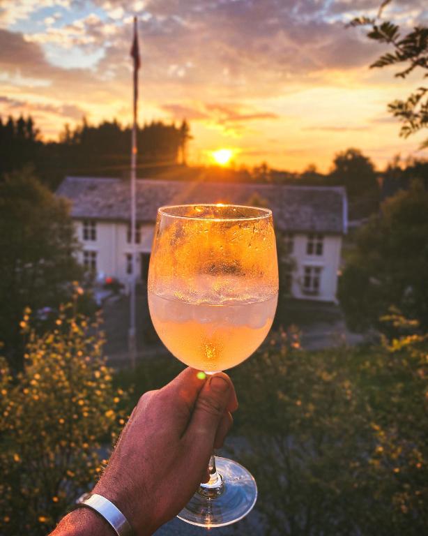 a person holding a wine glass with the sunset in the background at Villa Edvin - Slow living in Eide