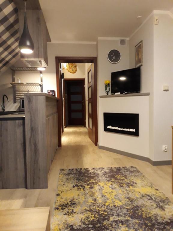 Kuchyňa alebo kuchynka v ubytovaní Apartament Leśna