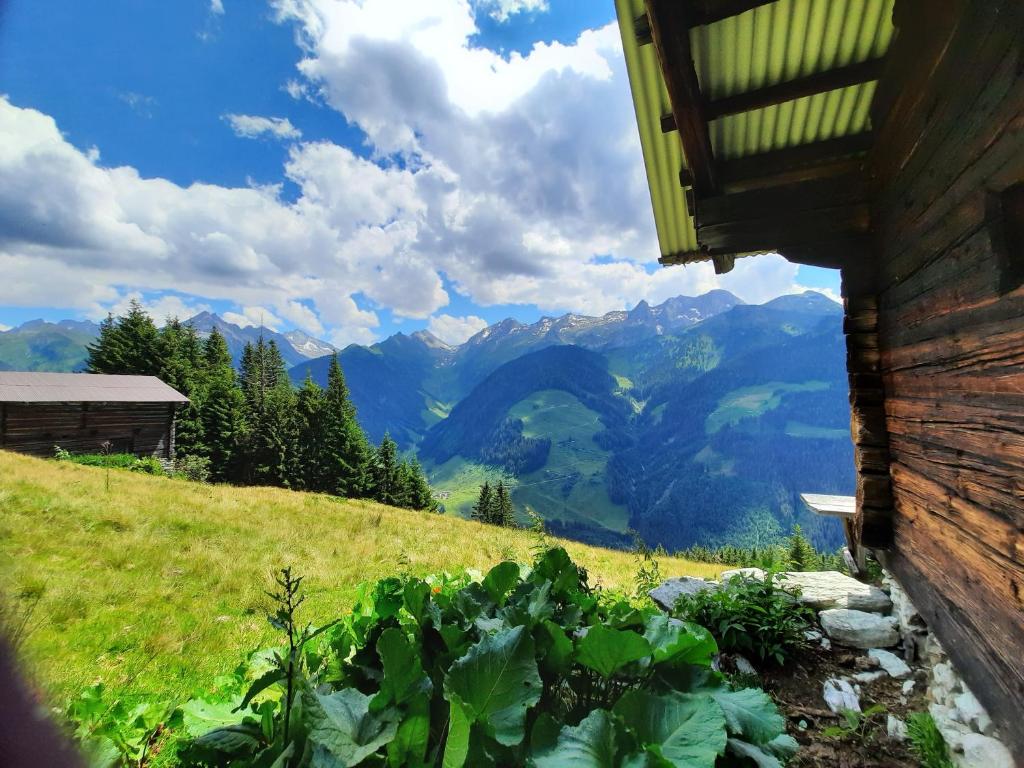 Príroda v okolí apartmánu