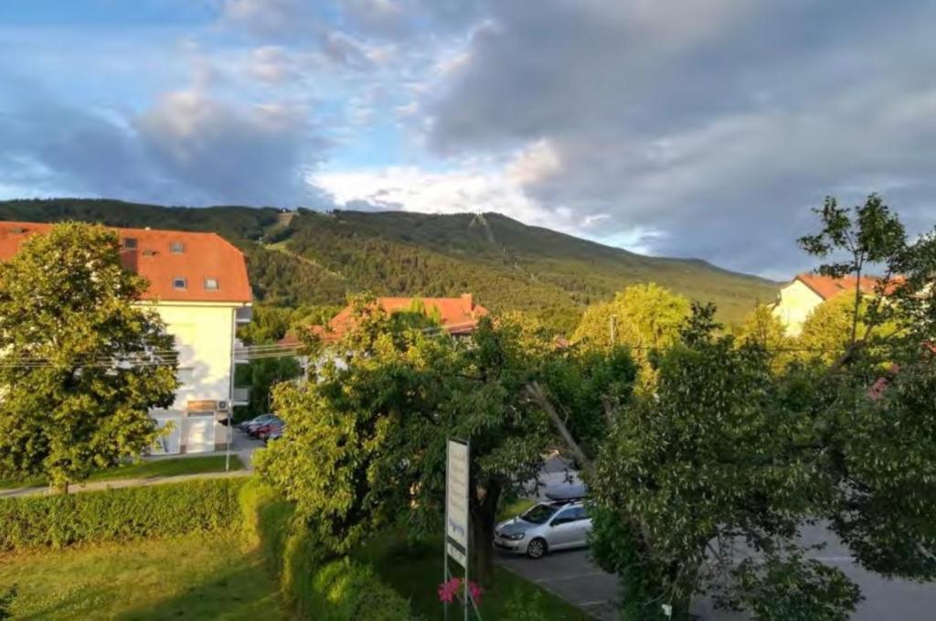 Příroda nedaleko penzionu