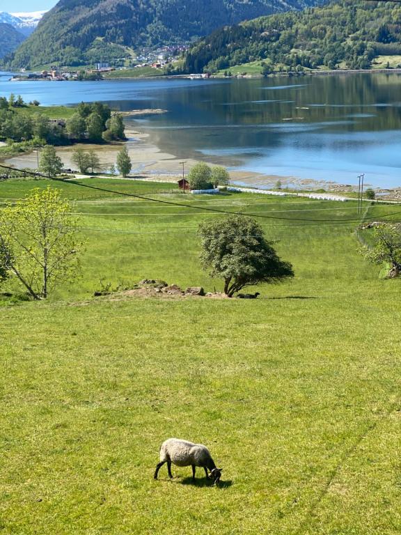 single klubb i ås