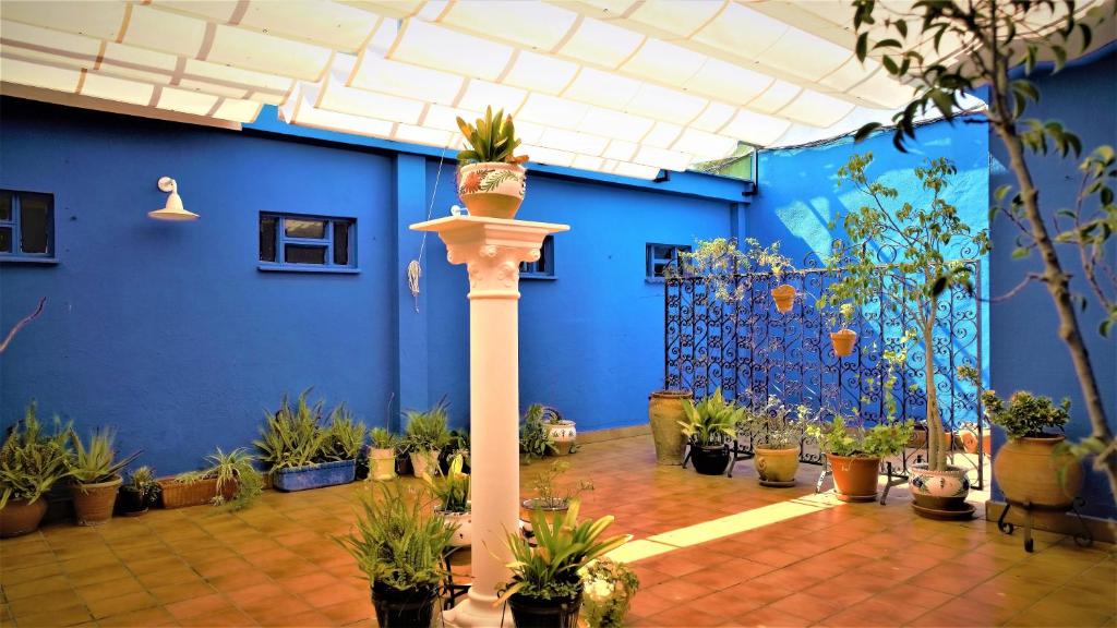 a room filled with lots of potted plants at Hotel Ayamontino in Punta Umbría