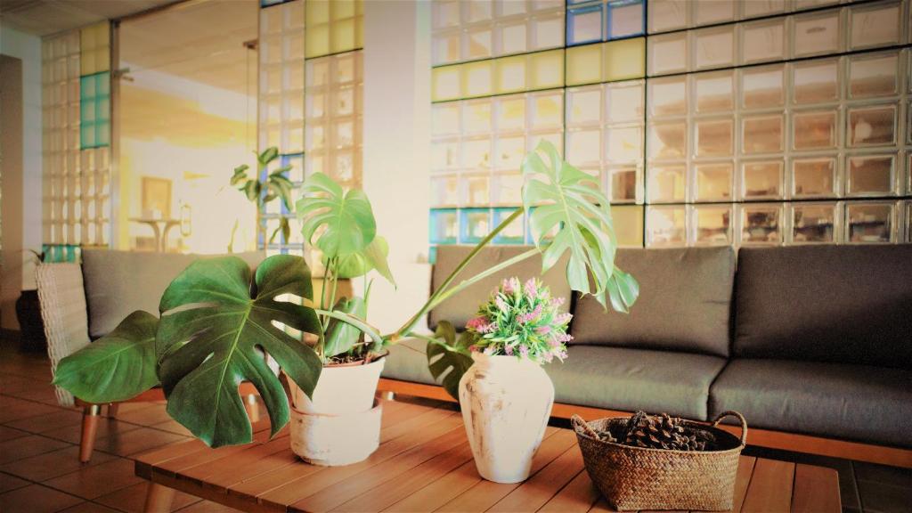 a living room with a couch and plants on a table at Hotel Ayamontino in Punta Umbría