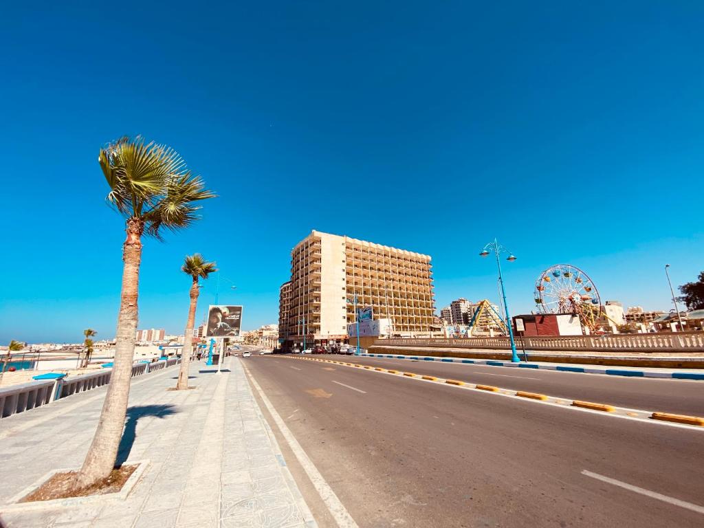 uma palmeira ao lado de uma estrada em Semiramis Hotel Royal Palace em Marsa Matruh