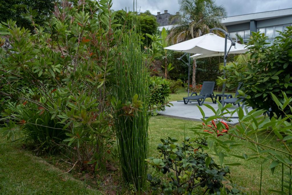 a garden with a bench and some tall grass at Casa da Quinta in Vila Franca do Campo